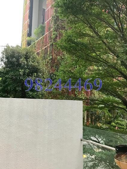 Icon (D2), Apartment #157165072